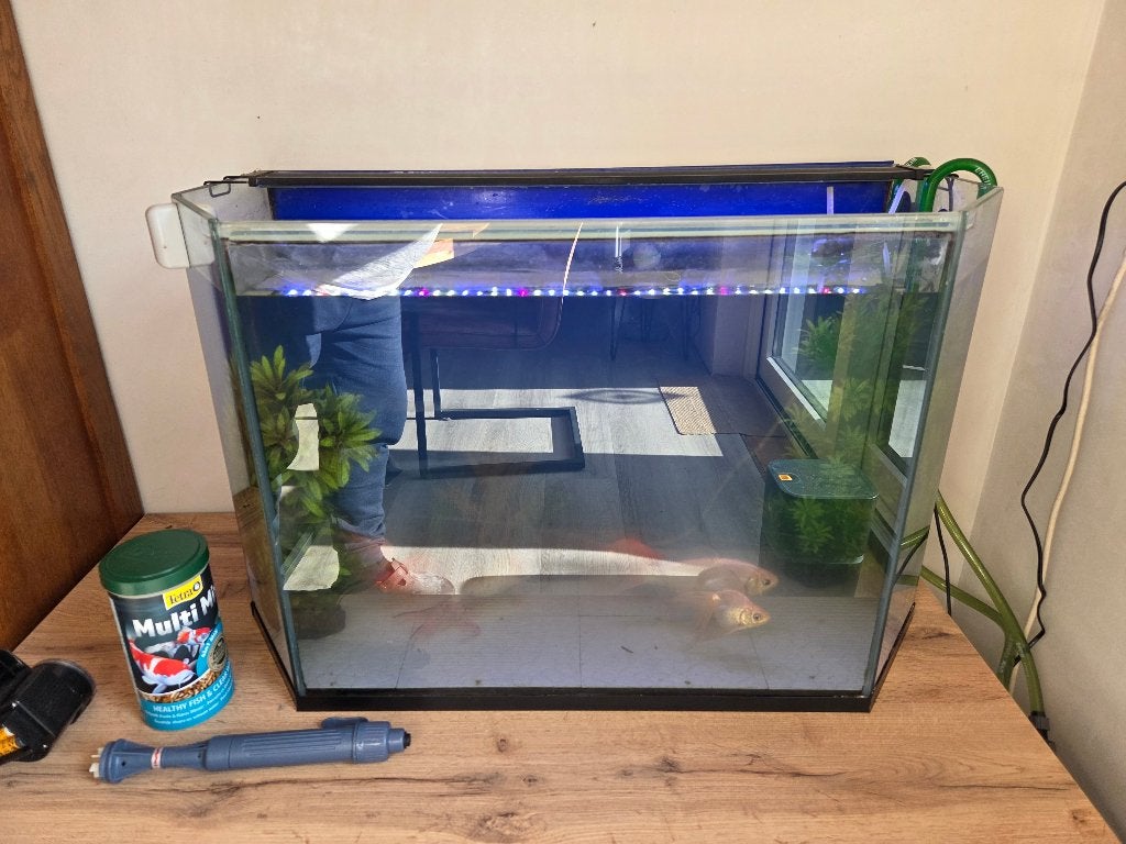 Aquarium met alle toebehoren, Dieren en Toebehoren, Ophalen, Gebruikt, Gevuld zoetwateraquarium, Overige merken