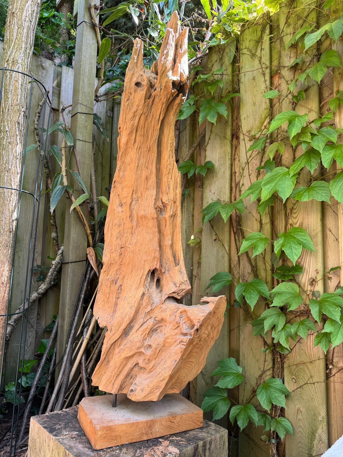 Groot stuk hardhout voor scaping, Ophalen, Tak, Plant, Rots of Steen