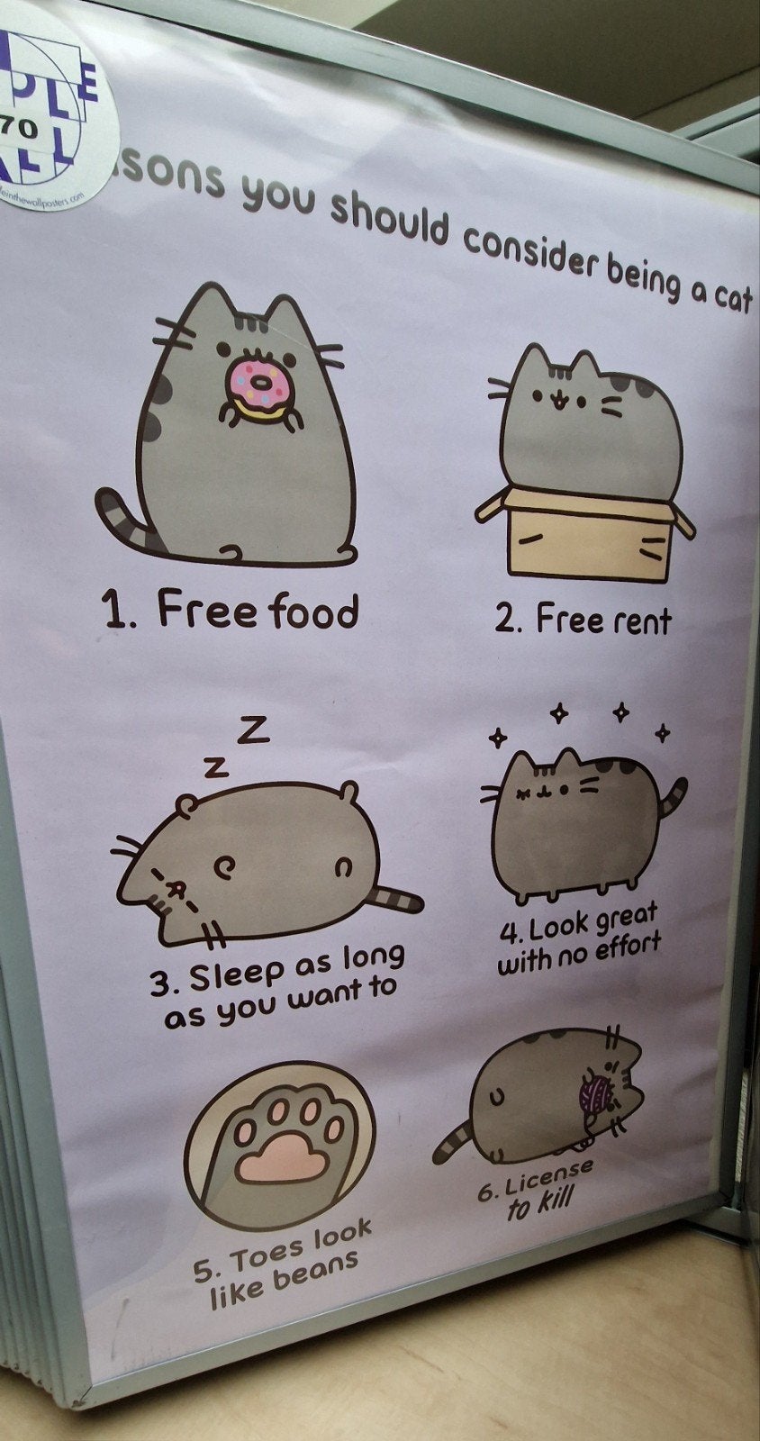 Pusheen Kat Poster: Redenen om een Kat te zijn, Rechthoekig Staand, Ophalen of Verzenden, Zo goed als nieuw, A1 t/m A3