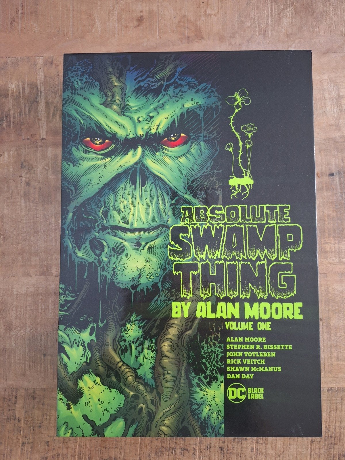 Absolute Swamp Thing by Alan Moore Vol. 1 - Hardcover, Eén stripboek, Ophalen of Verzenden, Zo goed als nieuw, Alan Moore