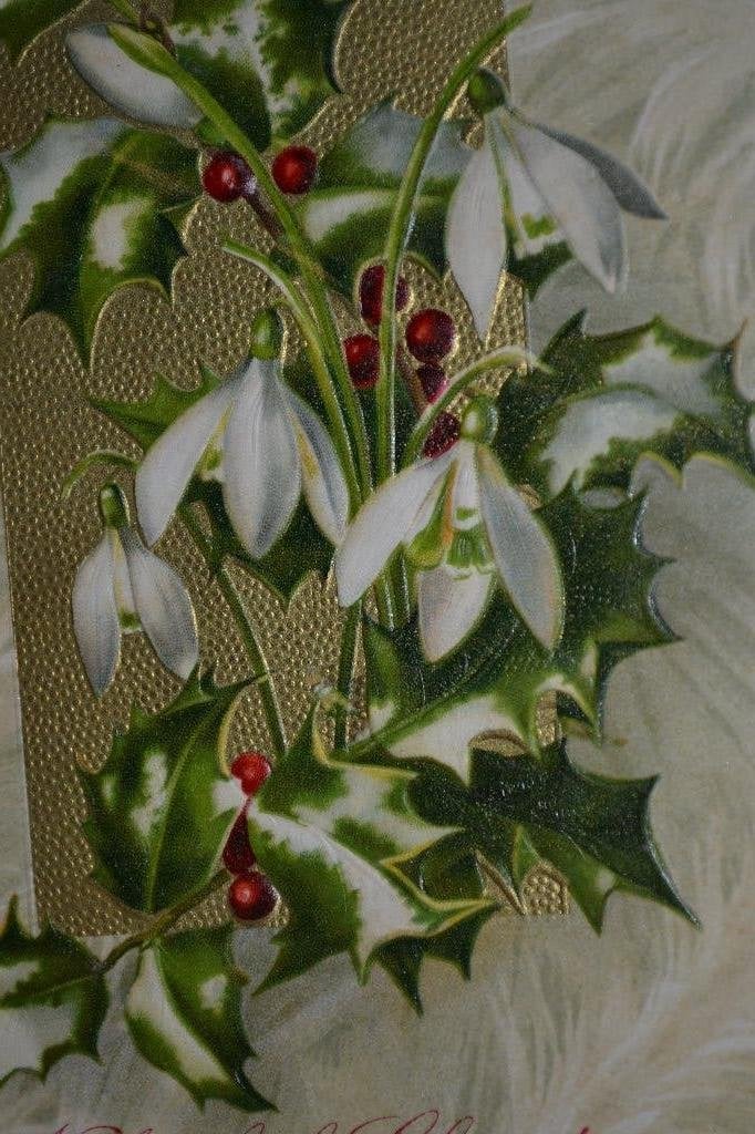 amerika 1908 kerstmis relief hulst sneeuwklokjes, Verzamelen, Ophalen of Verzenden, Voor 1920, Gelopen, Sterren en Beroemdheden