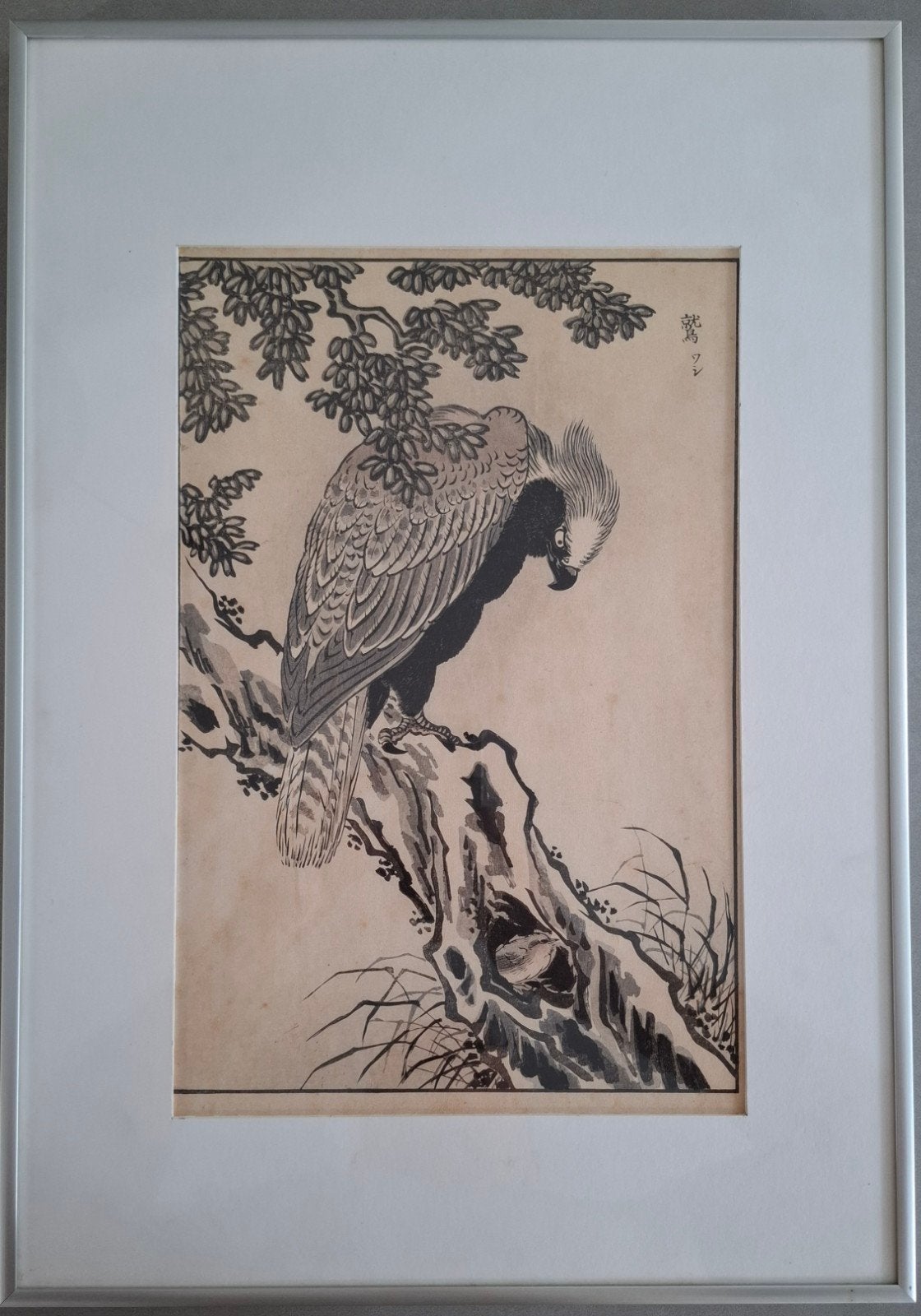 Originele Japanse Houtsnede - Maekawa Bunrei (1885) Adelaar, Ophalen, 1800 - 1899, Houtsnede, Flora en Fauna