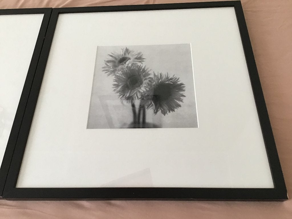 Schilderijen, Antiek en Kunst, Ophalen, Ingelijst, Bloemen