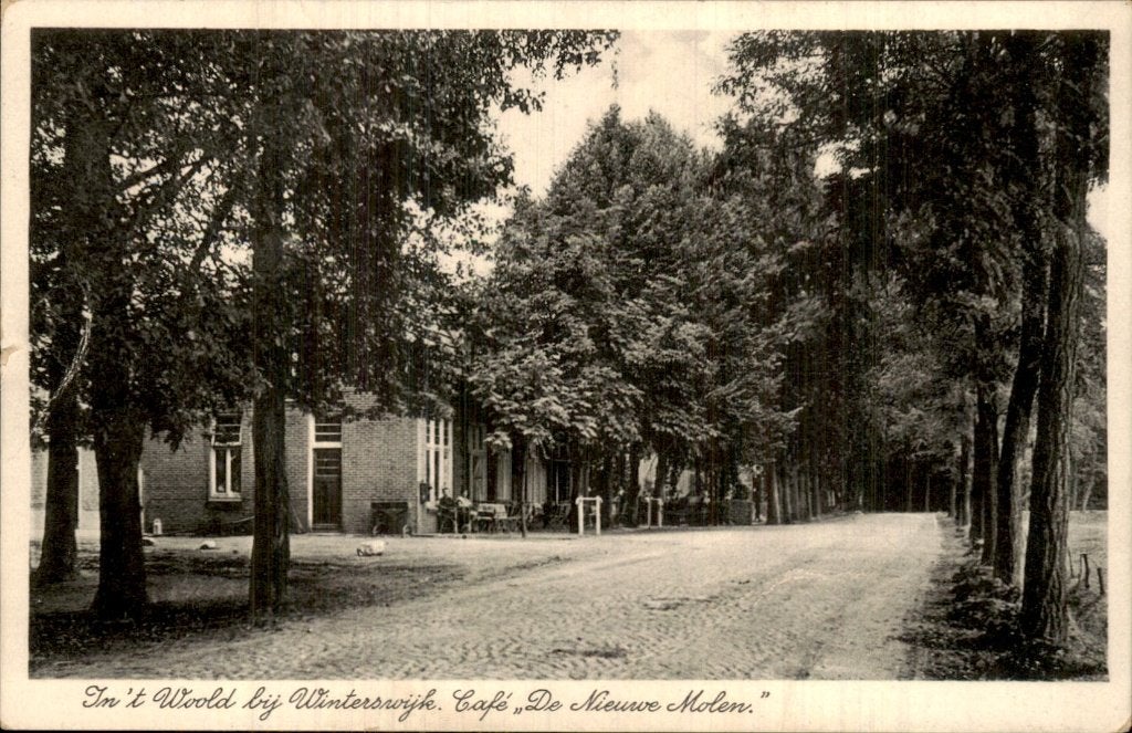 Winterswijk - Café De Nieuwe Molen - In t Woold, Ophalen of Verzenden, 1920 tot 1940, Gelopen, Gelderland