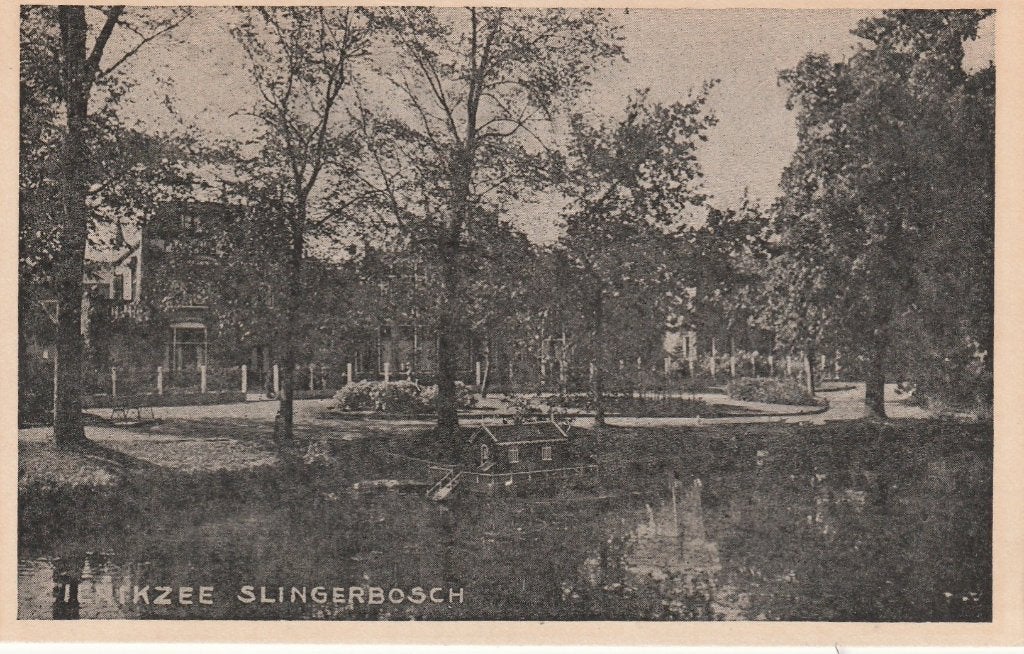 ZIERIKZEE Slingerbosch, Verzamelen, Verzenden, 1940 tot 1960, Ongelopen, Zeeland