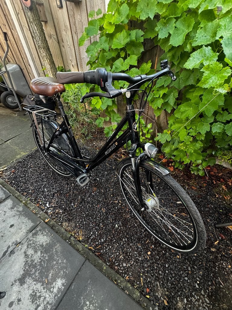 Pegasus damesfiets, Gebruikt, Versnellingen, 56 cm of meer, Schijfrem