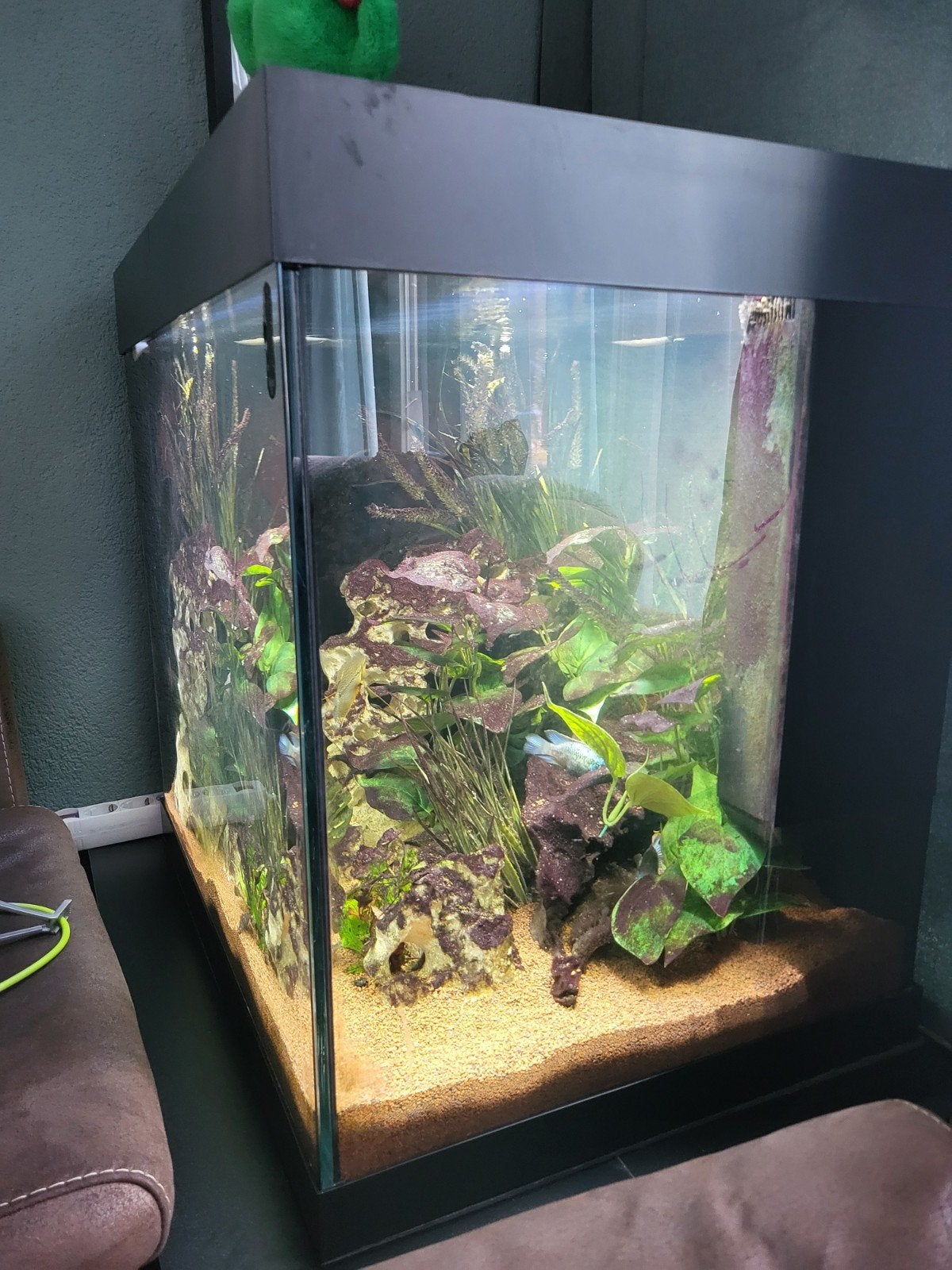 2x aquarium juwel lido 120 en 200 l, Dieren en Toebehoren, Ophalen of Verzenden, Zo goed als nieuw, Leeg aquarium