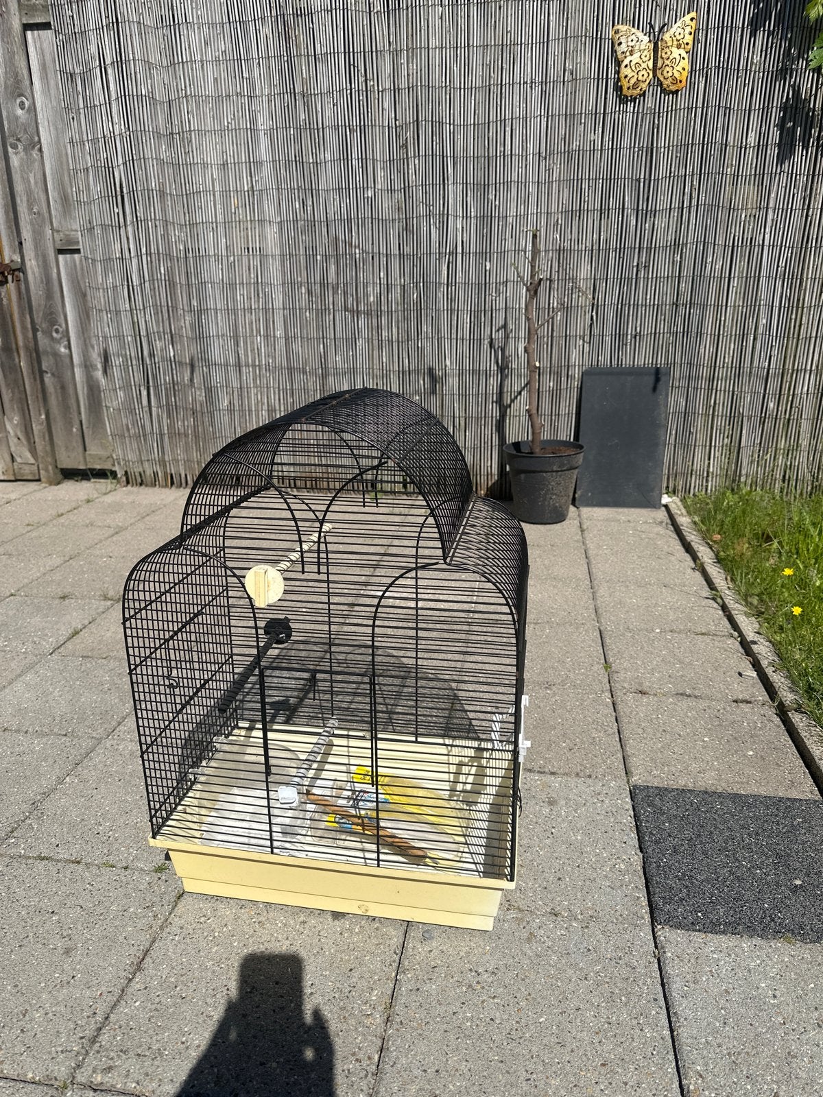 Vogel kooi, Dieren en Toebehoren, Vogels | Hokken en Kooien, Ophalen of Verzenden, Zo goed als nieuw, Metaal, Vogelkooi