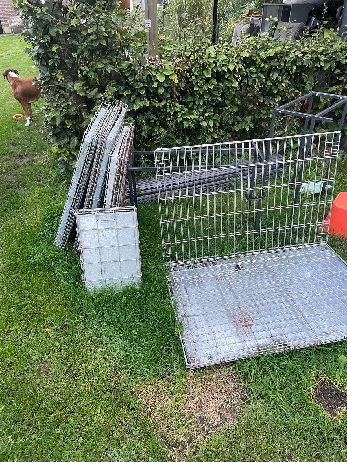 5 honde benches, Ophalen