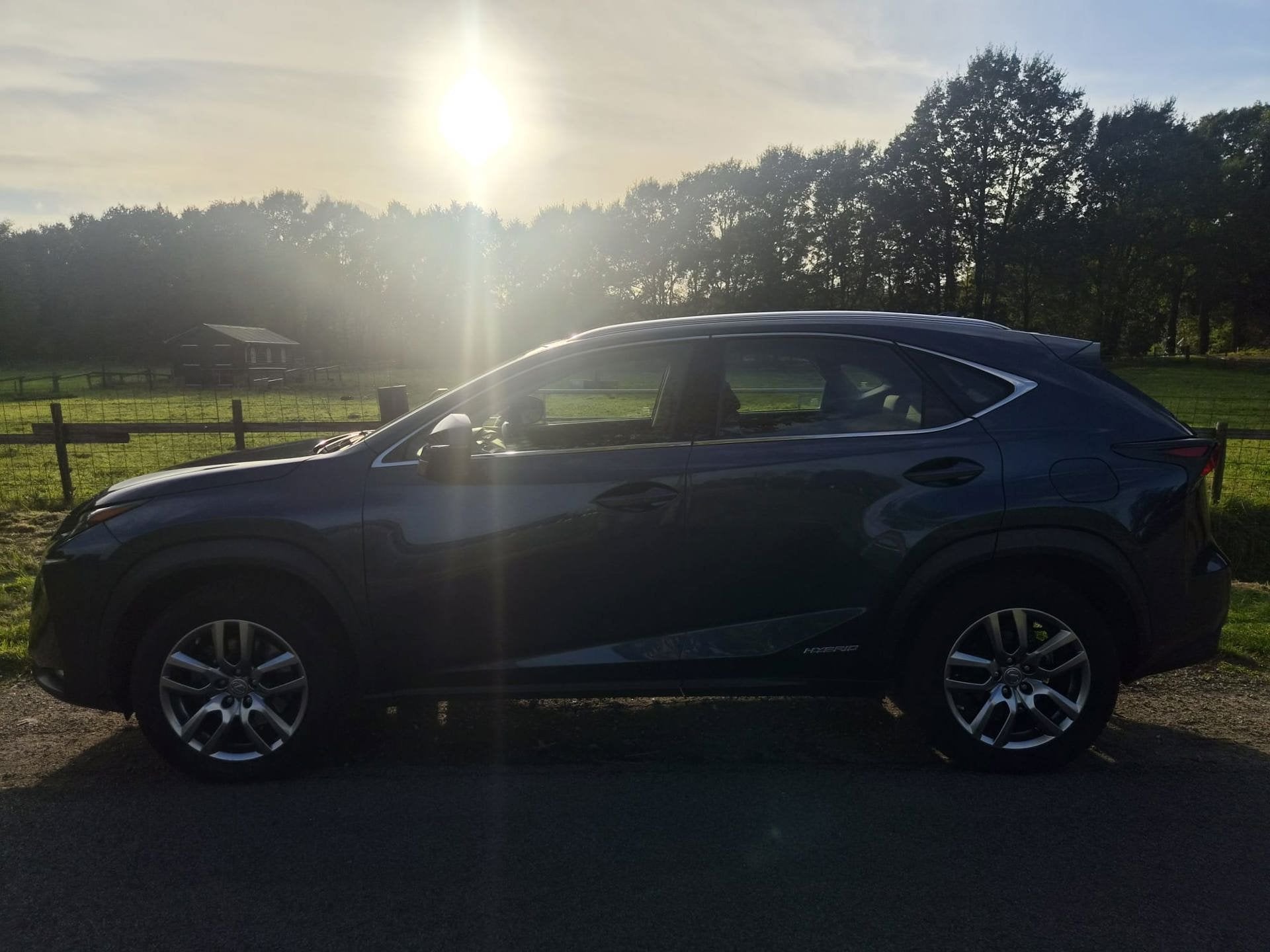Lexus NX 300h TOPKWALITEIT met trekhaak, Auto's, Automaat, Stof, Gebruikt, Blauw