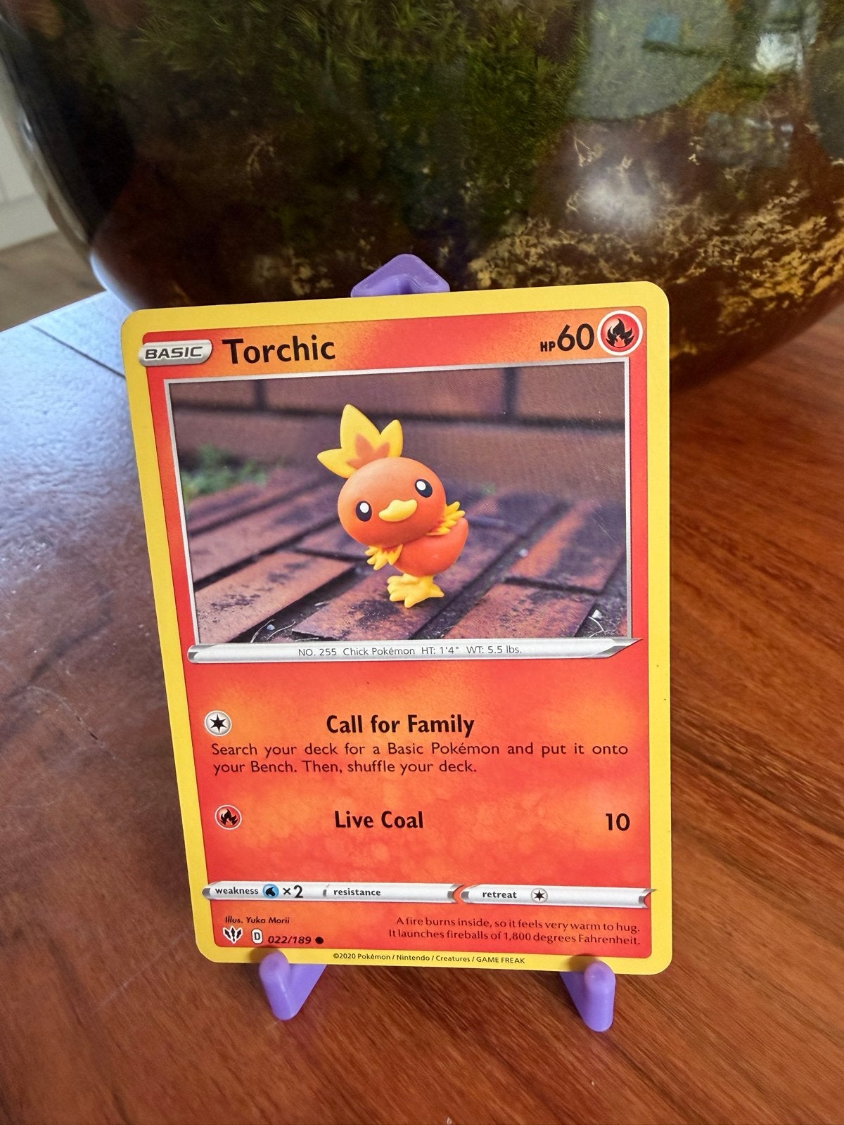 Pokémon Torchic 022/189 Darkness Ablaze Yuka Morii, Ophalen of Verzenden, Zo goed als nieuw, Losse kaart