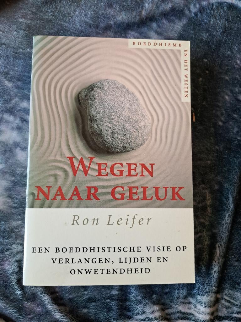 Wegen naar geluk, Achtergrond en Informatie, Ophalen of Verzenden, Zo goed als nieuw, Ron Leifer