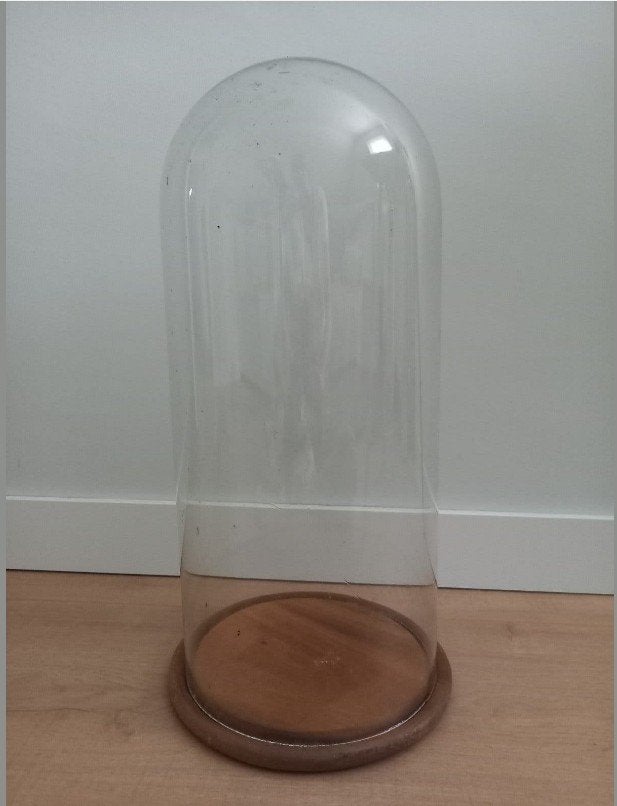 Grote glazen stolp met houten blad, Glas, Ophalen