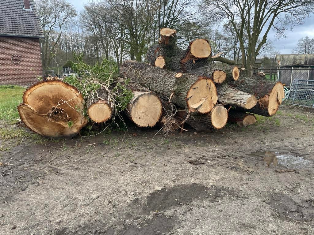 Eikenhout stammen, Doe-het-zelf en Verbouw, Hout en Planken, Ophalen, Gebruikt, Eiken, Overige typen