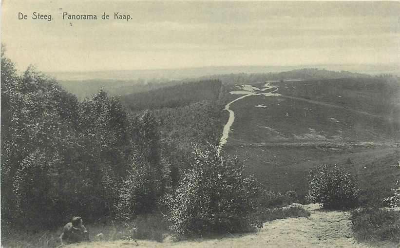 377-410-001 De Steeg Panorama De Kaap, Ophalen of Verzenden, Voor 1920, Gelderland
