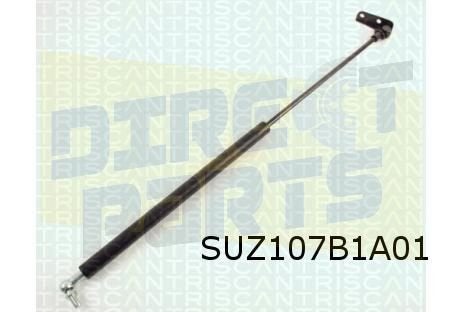 Suzuki Swift SF (1/89-12/02) Gasveer achterklep Links OES! 8