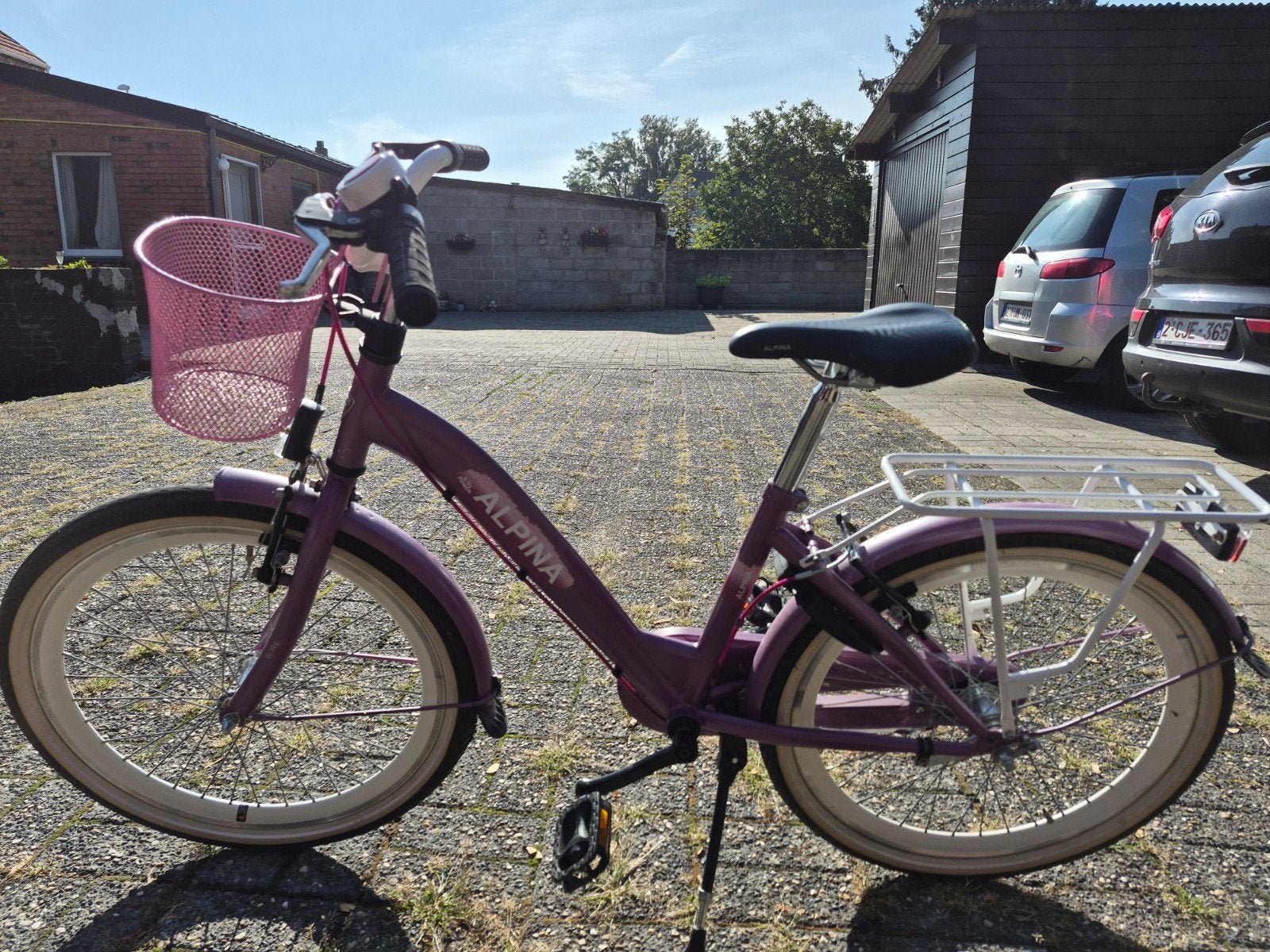 Alpina meisjesfiets, Ophalen of Verzenden, Gebruikt, 20 inch of meer, Overige merken