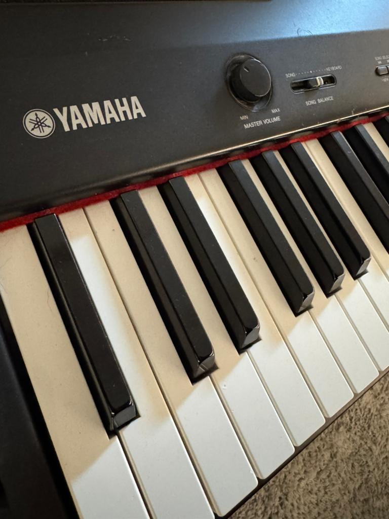 Yamaha P250 piano, Ophalen, Gebruikt
