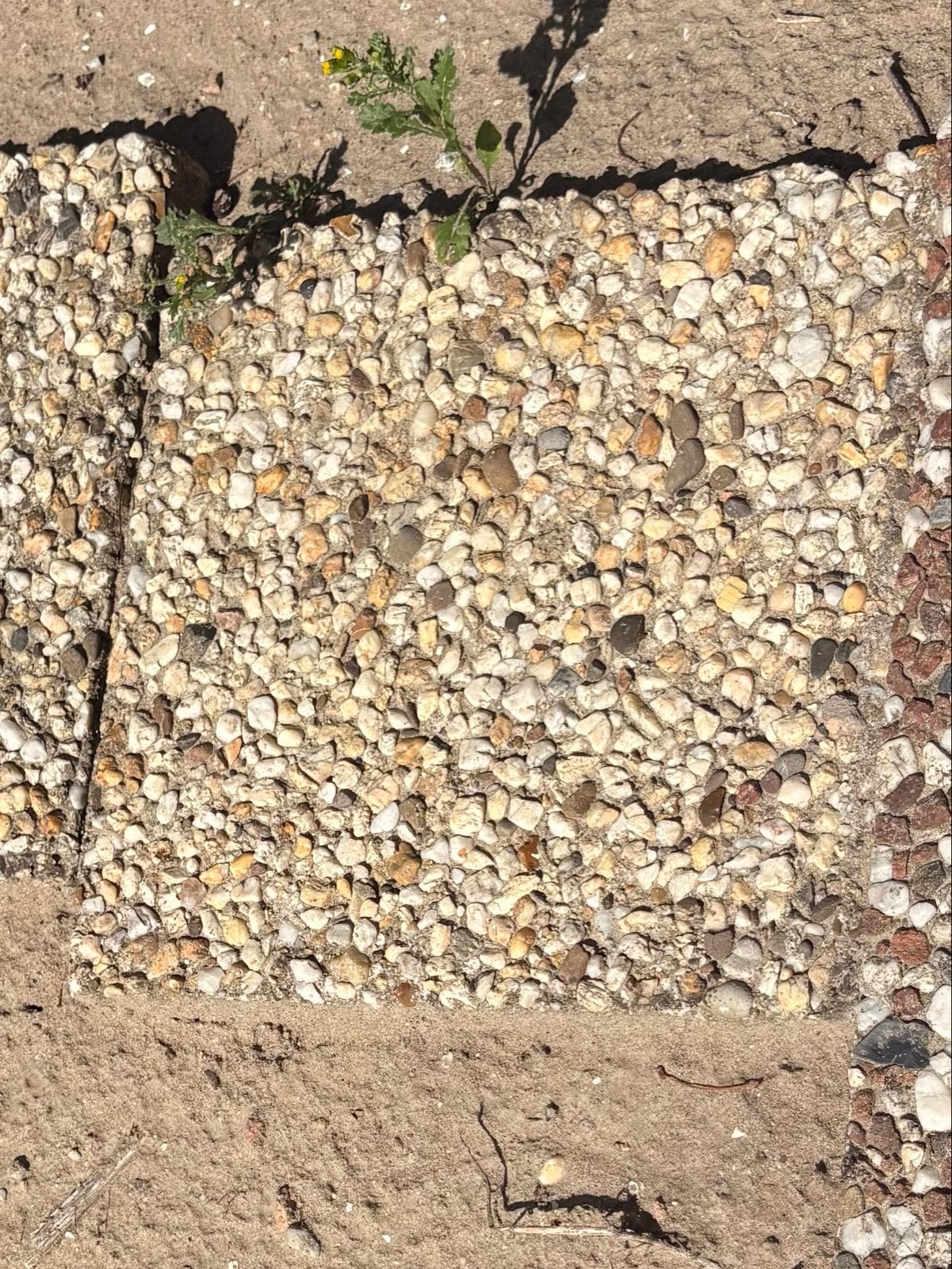 24 grindtegels 30x30 cm, Ophalen, Gebruikt, Minder dan 5 m², Grind