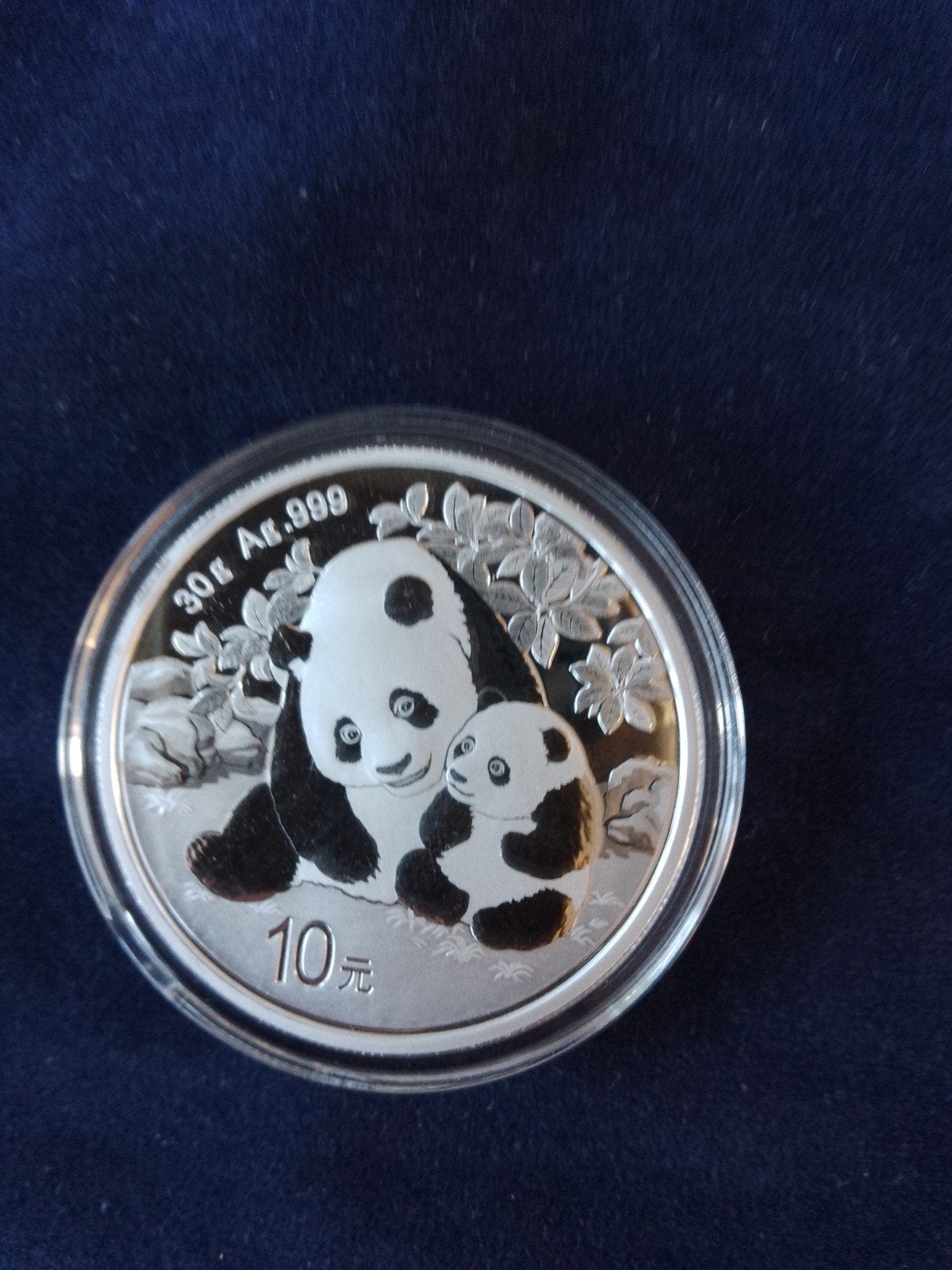 panda 2024 30 gram zilver, Ophalen of Verzenden, Zilver