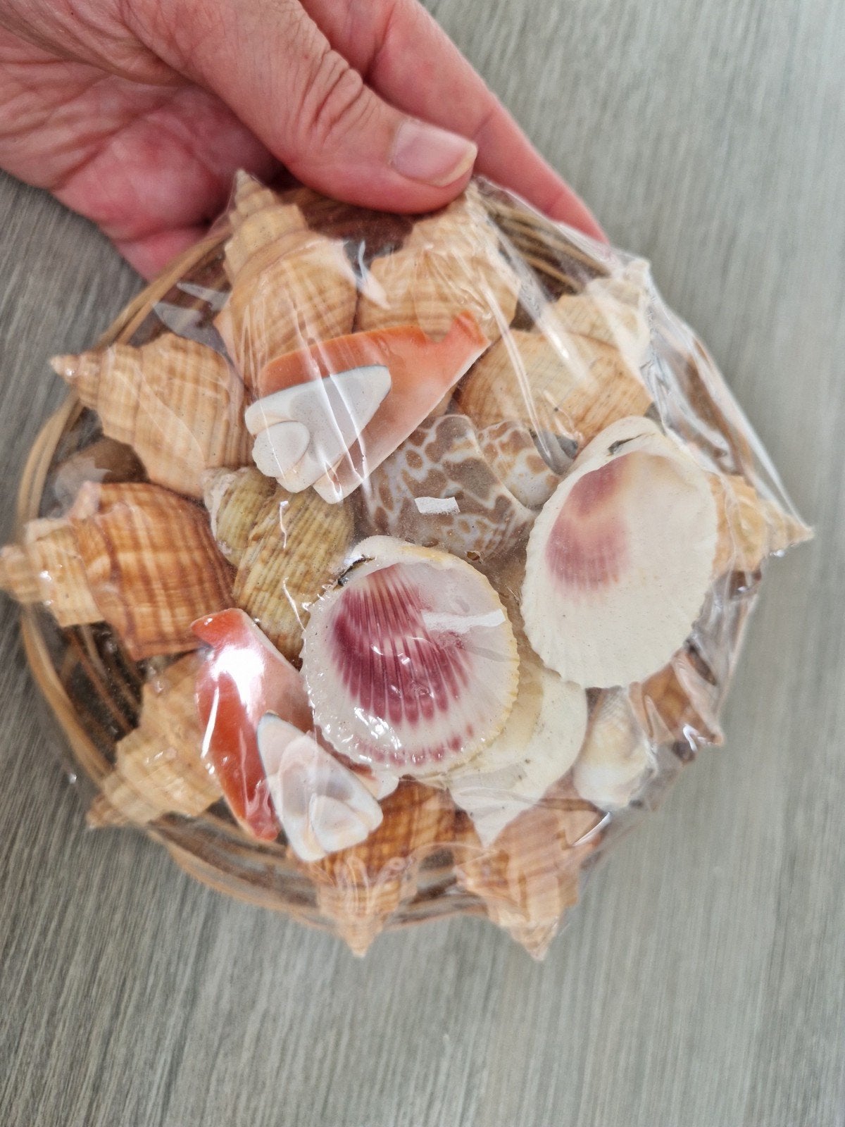 decoratie schelpen mix in mandje nieuw, Verzamelen, Ophalen of Verzenden, Schelp(en)