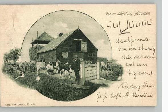 Maarssen Vee en Landlust TOPKAART st 1901, Verzenden, Voor 1920, Gelopen, Utrecht
