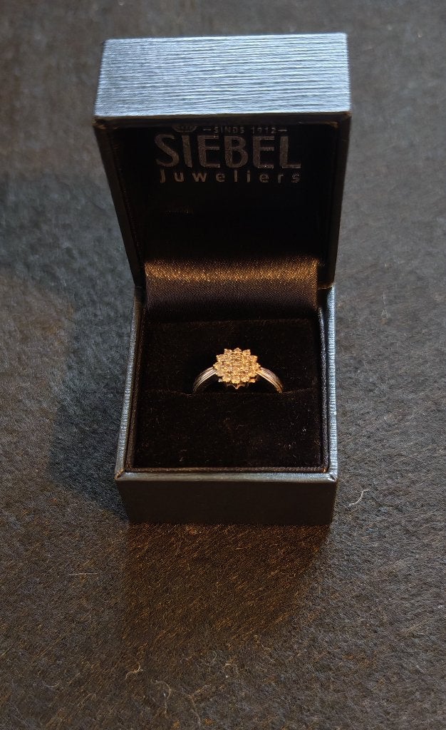 14 karaat wit goud diamanten ring - Siebel Juweliers, 19 tot 20, Wit, Nieuw, Ophalen of Verzenden