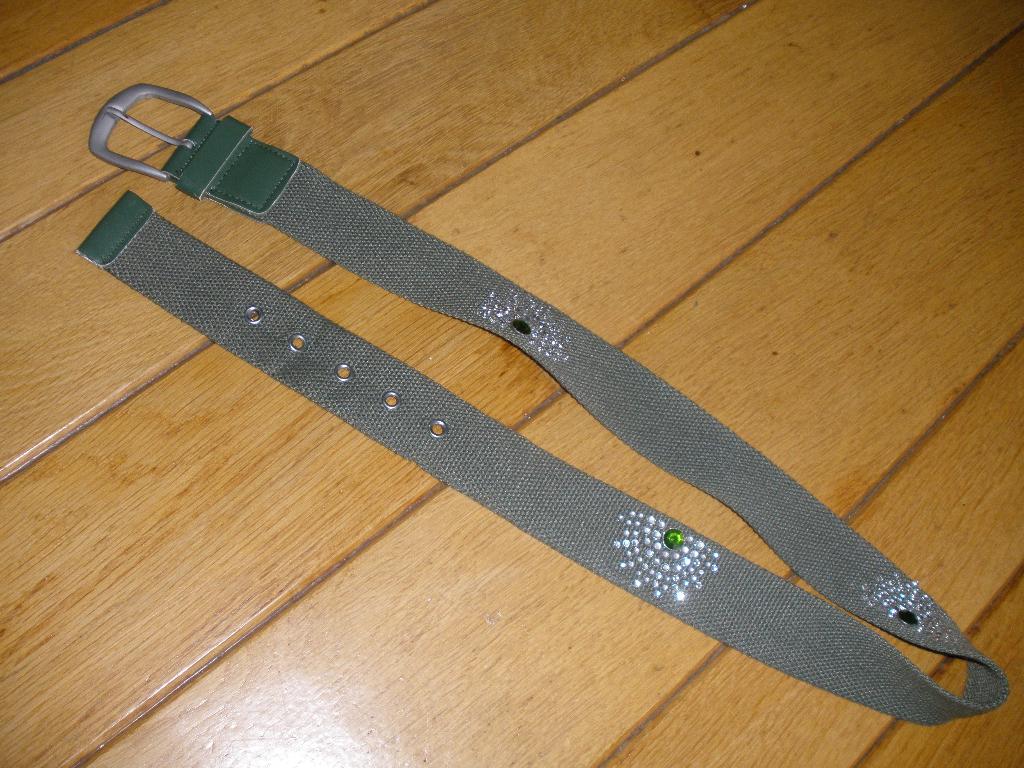 Riem groen canvas met strass steentjes - nieuw -, Kleding | Dames, Riemen en Ceinturen, Overige kleuren, 3 tot 5 cm, Ophalen of Verzenden