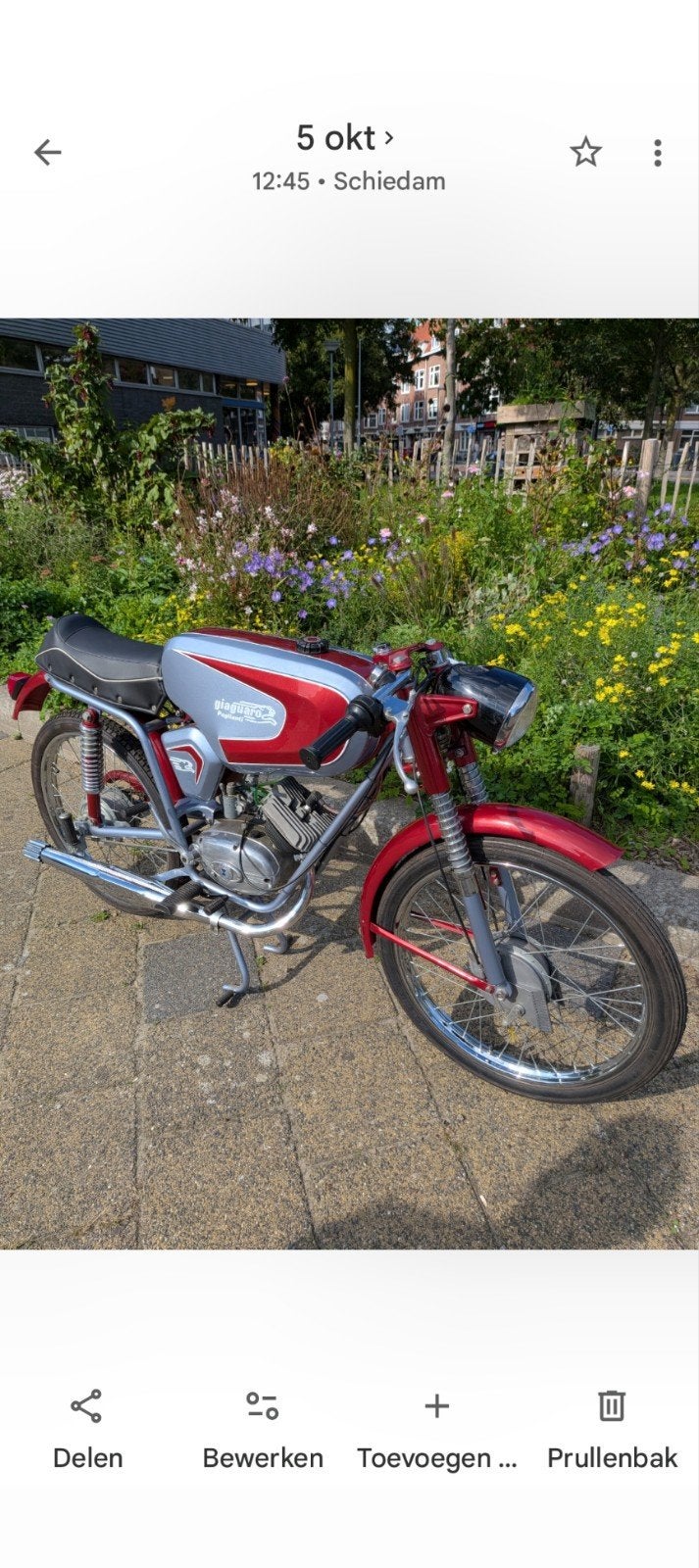 Paglianti Giaguaro  - Klassieke Bromfiets, Maximaal 45 km/u, 49 cc, 4 versnellingen, Ophalen