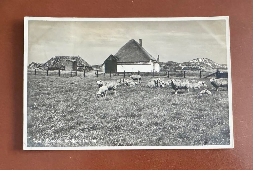 Ansichtkaart Texel - Boerderij nabij de Duinen, Ophalen of Verzenden, 1920 tot 1940, Gelopen, Noord-Holland
