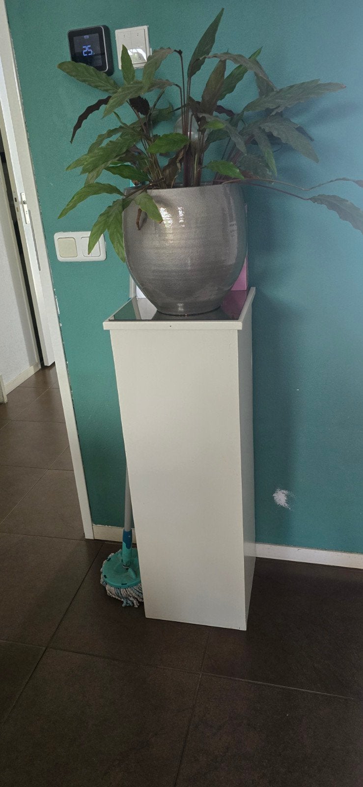 plantenzuil te koop, Ophalen, Gebruikt