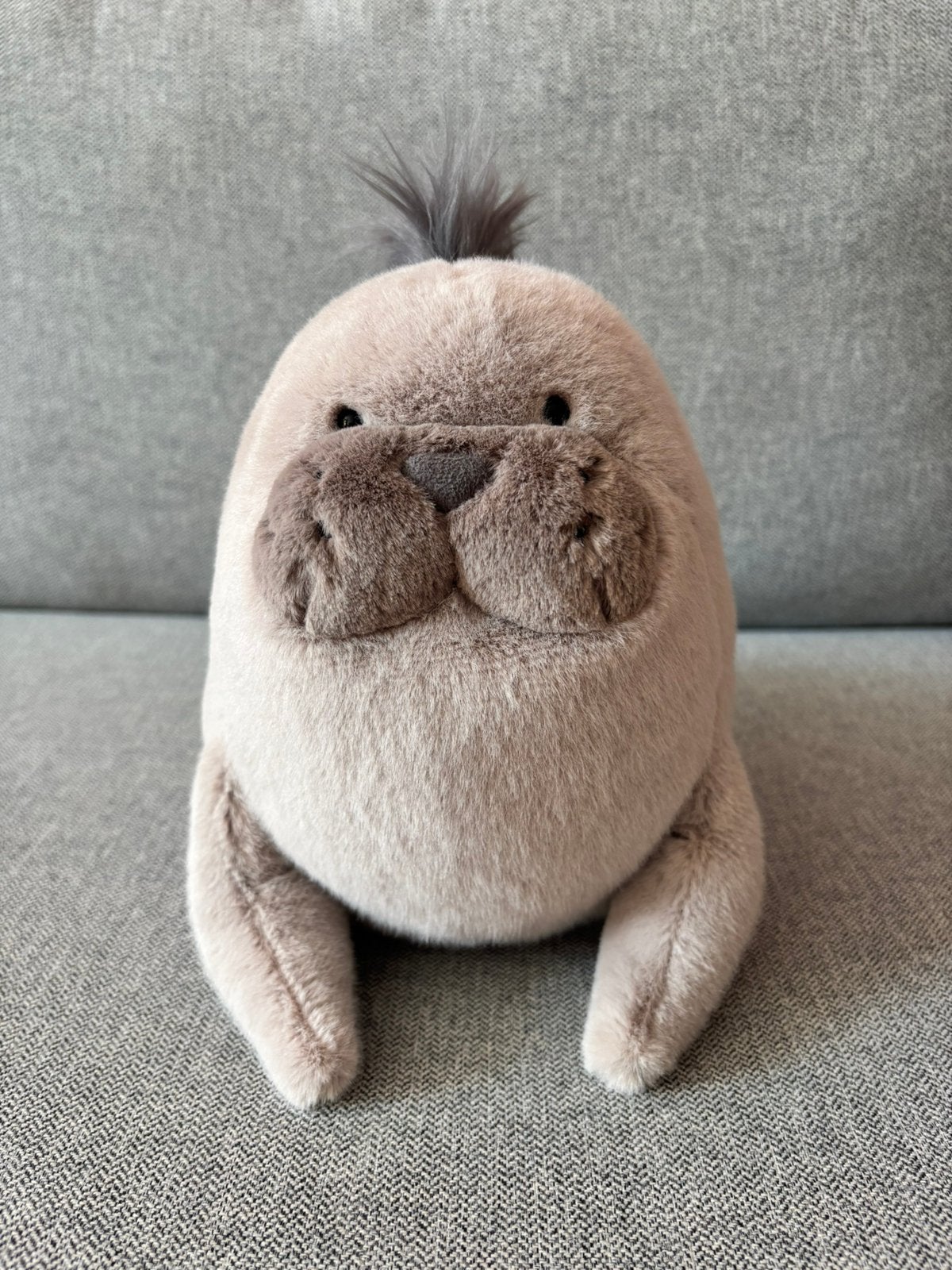 Jellycat Roarwell Sea Lion, Jellycat, Overige typen, Nieuw, Ophalen of Verzenden