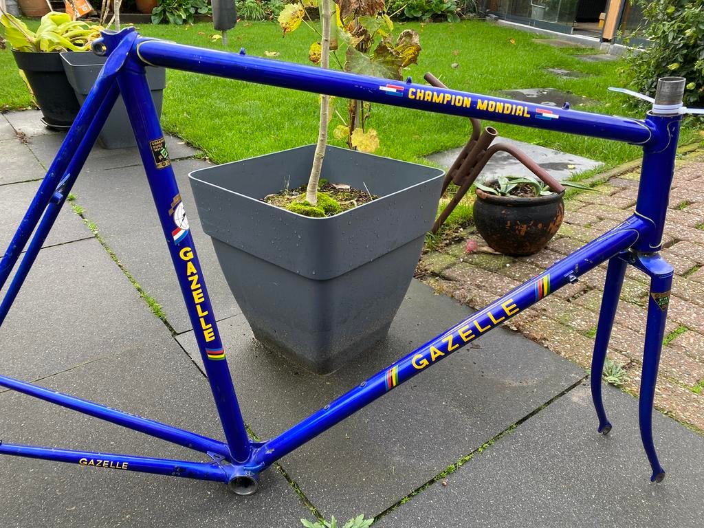 Gazelle champion modial, Fietsen en Brommers, Fietsen | Racefietsen, Ophalen, Zo goed als nieuw, 57 tot 61 cm, Gazelle