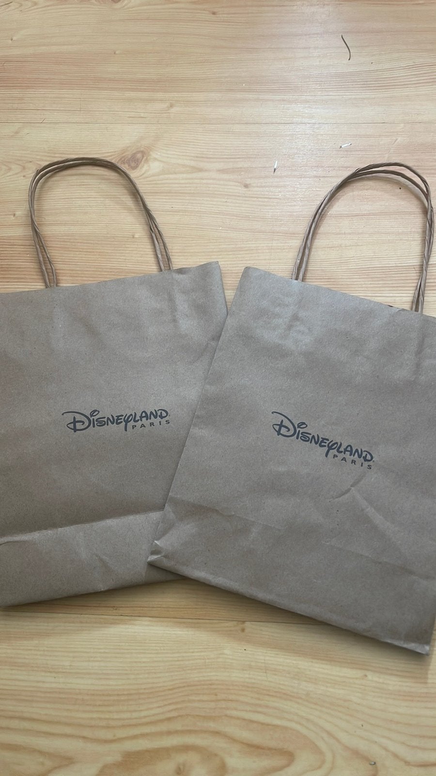 Disneyland Paris papieren tassen (set van 5), Ophalen of Verzenden, Mickey Mouse, Zo goed als nieuw, Tas, Koffer of Zak