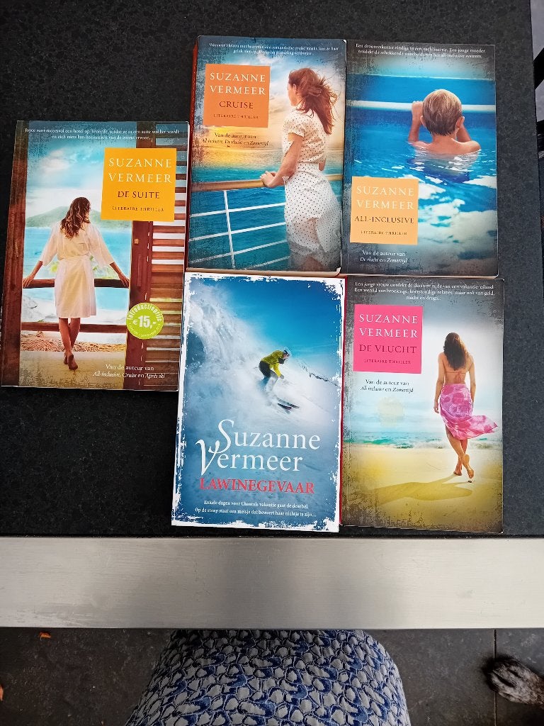12 boeken van bekende schrijvers ! Vermeer, van Rijn ,de Loo, Ophalen of Verzenden, Zo goed als nieuw, Overige
