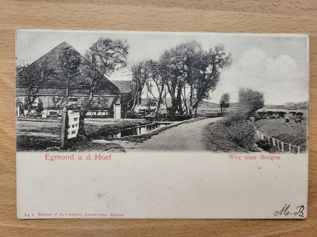 ansicht EGMOND Weg naar Bergen groeneweg alkmaar, Ophalen of Verzenden, Voor 1920, Noord-Holland