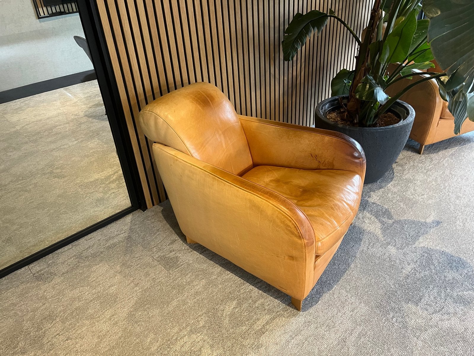 Set van 2 Molinari Why Not fauteuils - Vintage leer, Ophalen, Gebruikt, Leer, 75 tot 100 cm