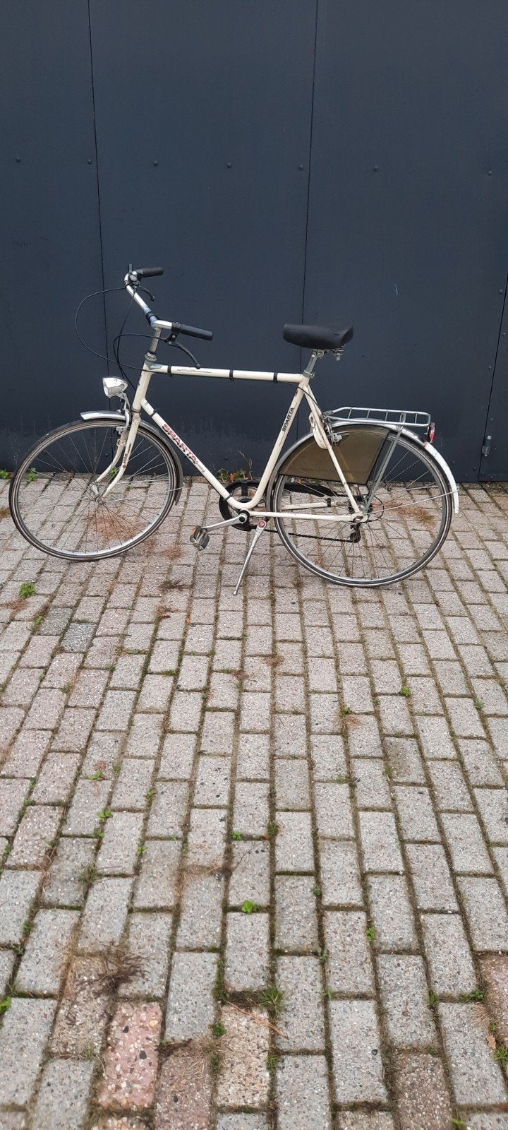 Herenfiets, Fietsen en Brommers, Ophalen, Sparta