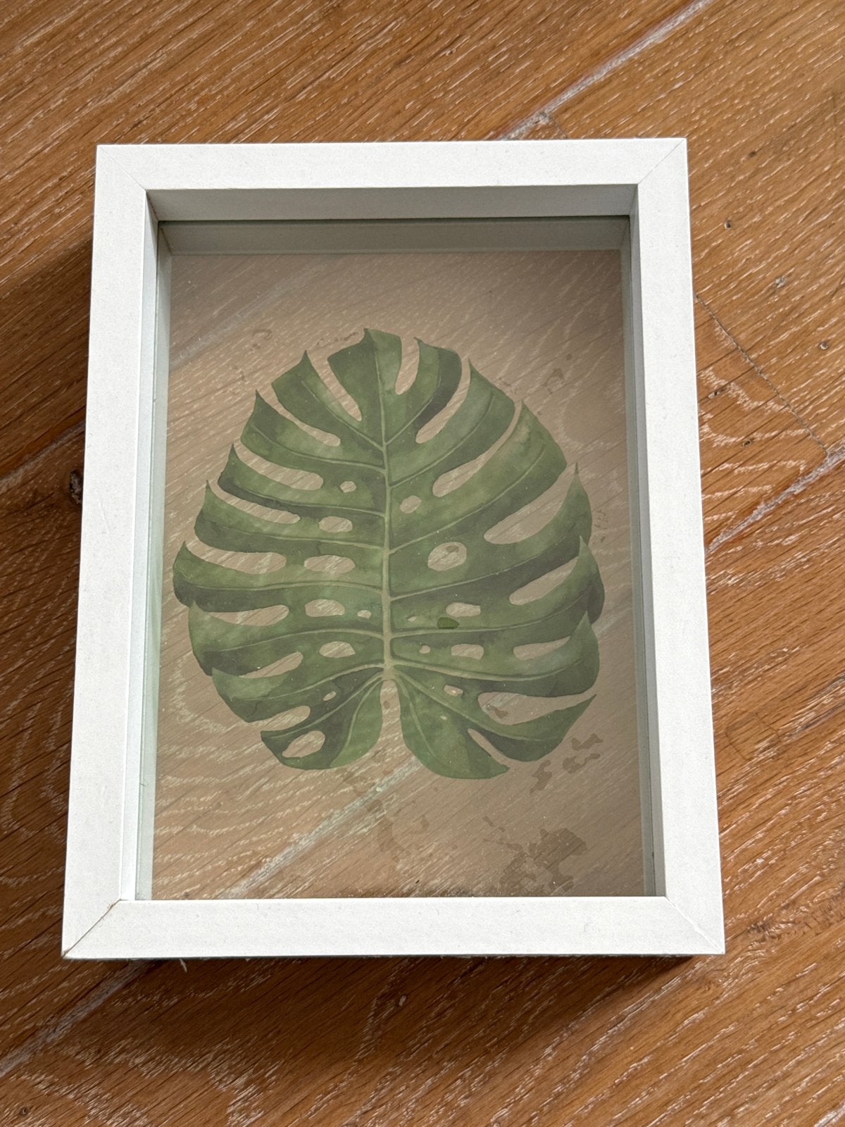 Monstera blad in witte lijst, Ophalen of Verzenden, Zo goed als nieuw, Hout