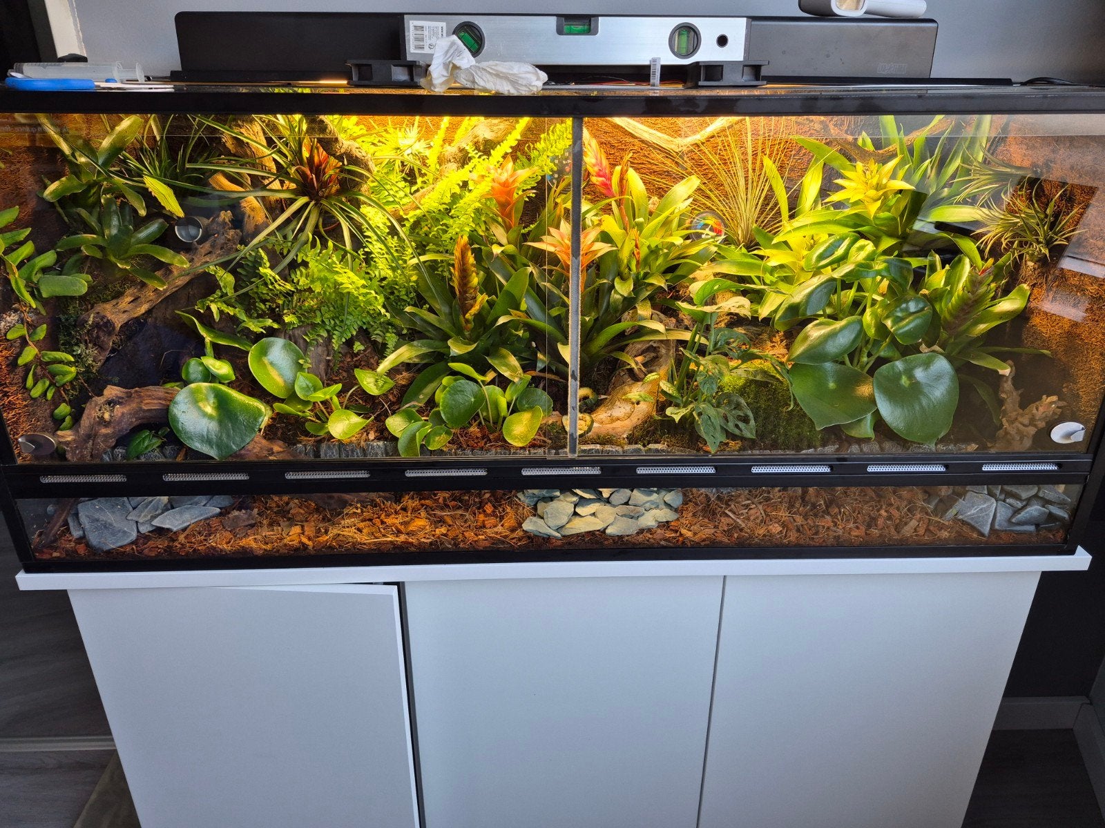 Paludarium/Terrarium 120x48x50, Ophalen of Verzenden, Zo goed als nieuw, Terrarium of Paludarium
