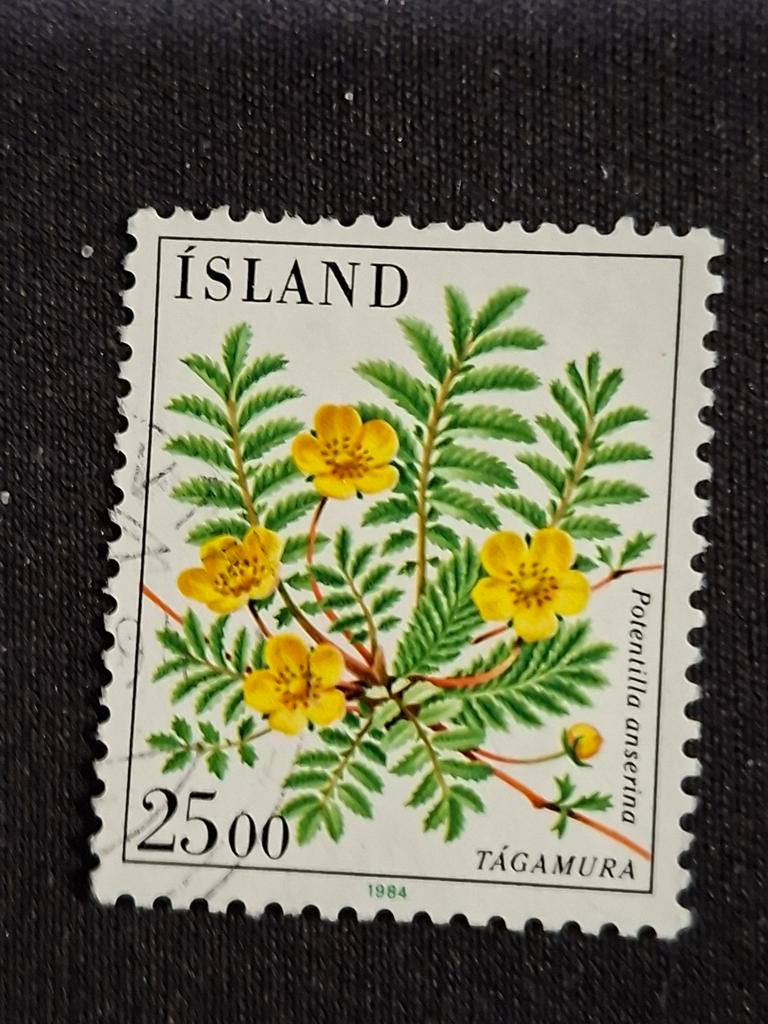IJsland, Ophalen of Verzenden, IJsland, Gestempeld