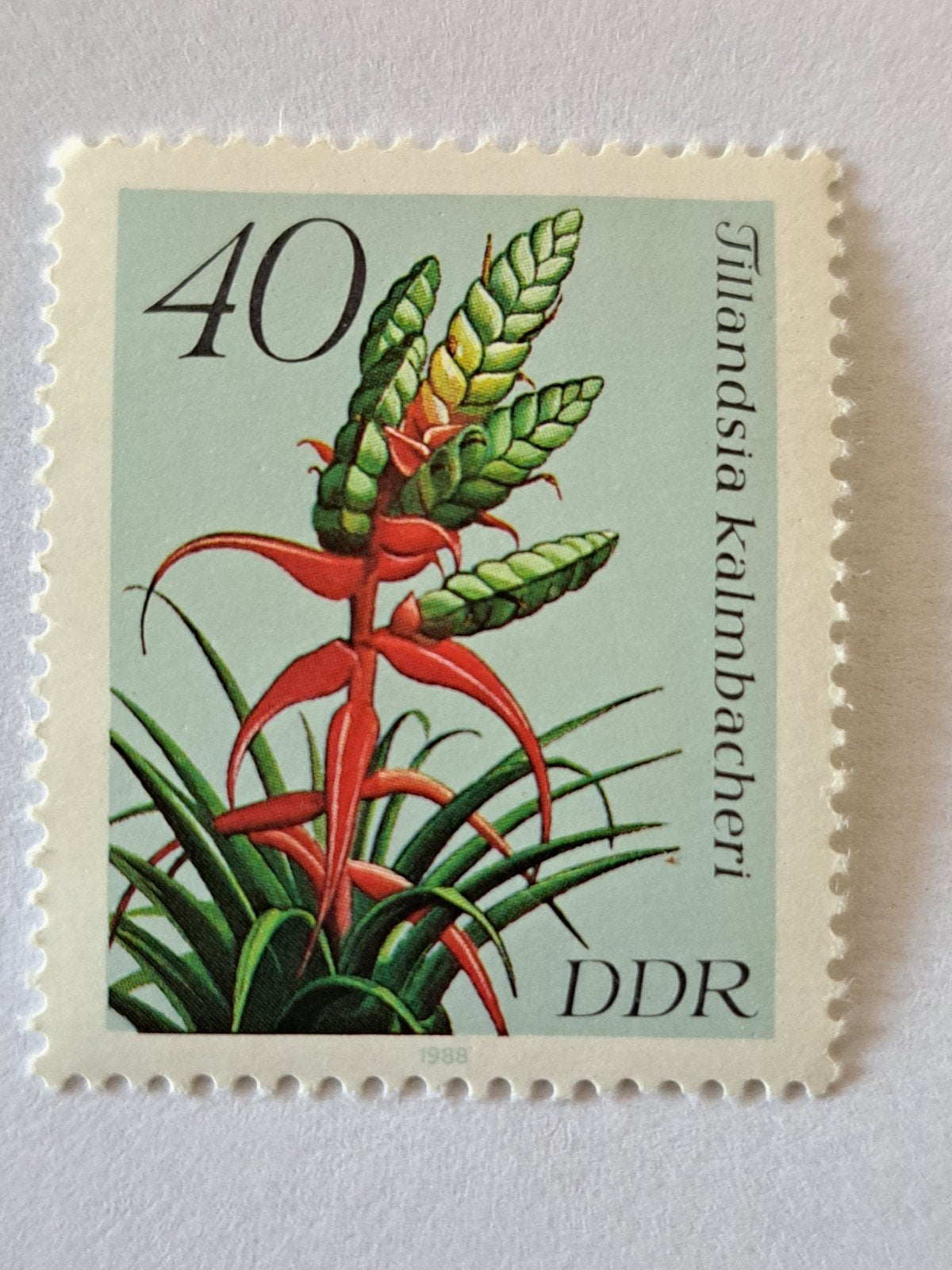 DDR Postzegel 1988 - Tillandsia Kalmbacheri 40 Pfennig, Ophalen of Verzenden, DDR, Postfris