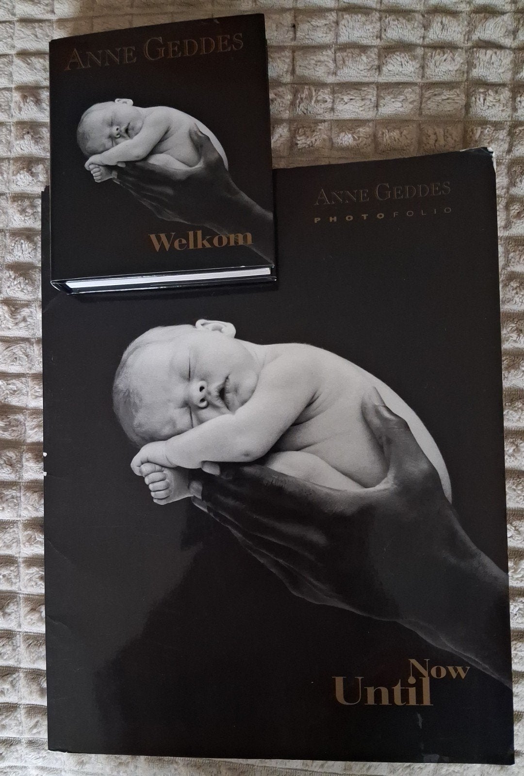 Anne Geddes Welkom & Until Now Fotoboeken (2 stuks), Ophalen of Verzenden, Zo goed als nieuw, Fotografie algemeen, Anne Geddes