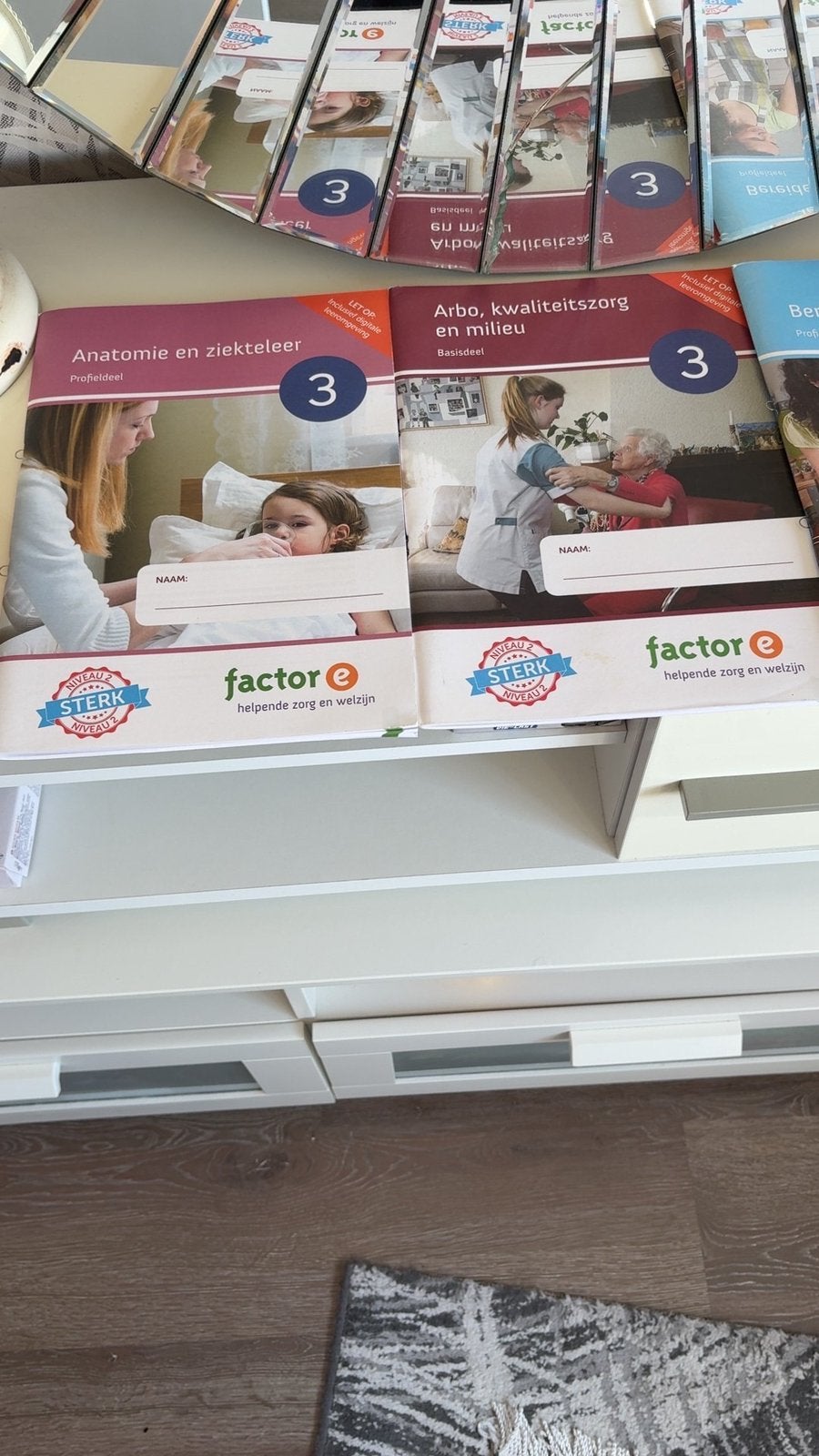 boekenpakket Dienstverlening HelpendeZorg en Welzijn niveau2, Boeken, Partijen en Verzamelingen, Ophalen of Verzenden, Zo goed als nieuw