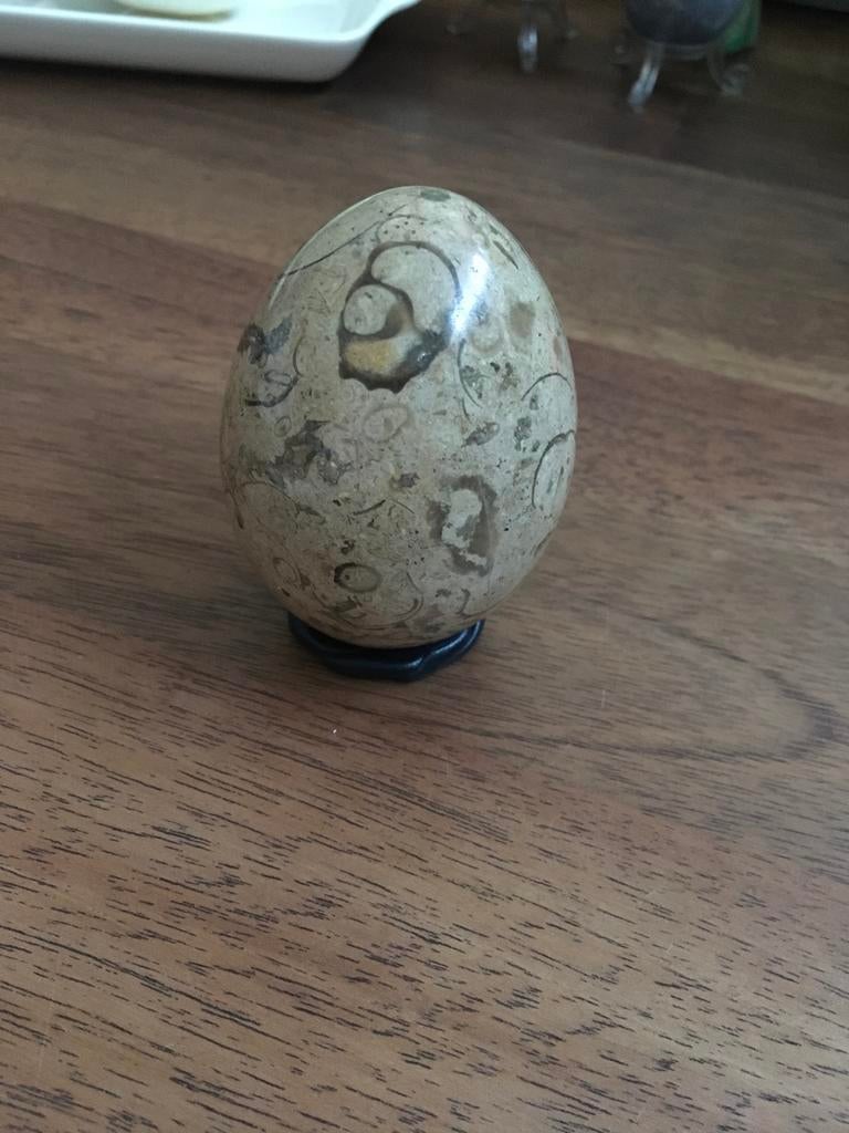 Ei septarie 8 cm, Ophalen, Mineraal