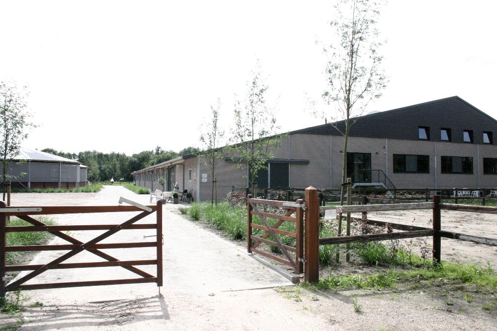 Pensionstalling Vught | Dagelijkse weidegang | Boxen vrij, Weidegang, 2 of 3 paarden of pony's