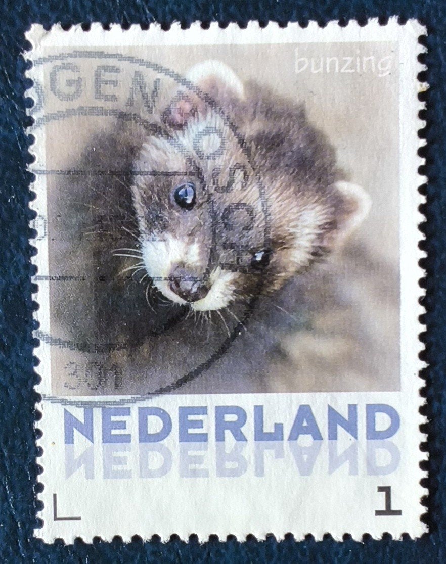 persoonlijke zegel kavel pe11, Ophalen of Verzenden, Na 1940, Gestempeld