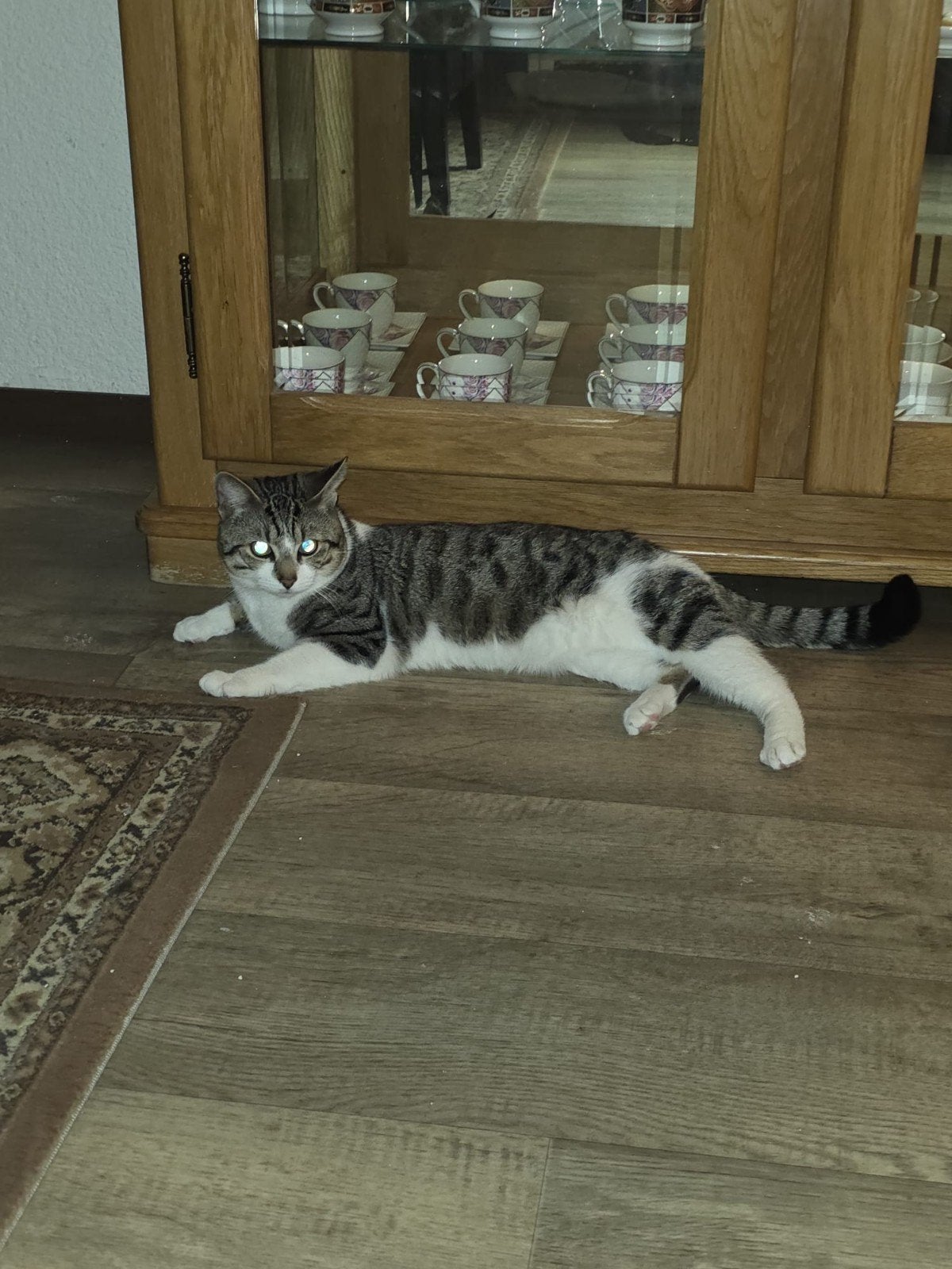 Tekoop katers, Kater
