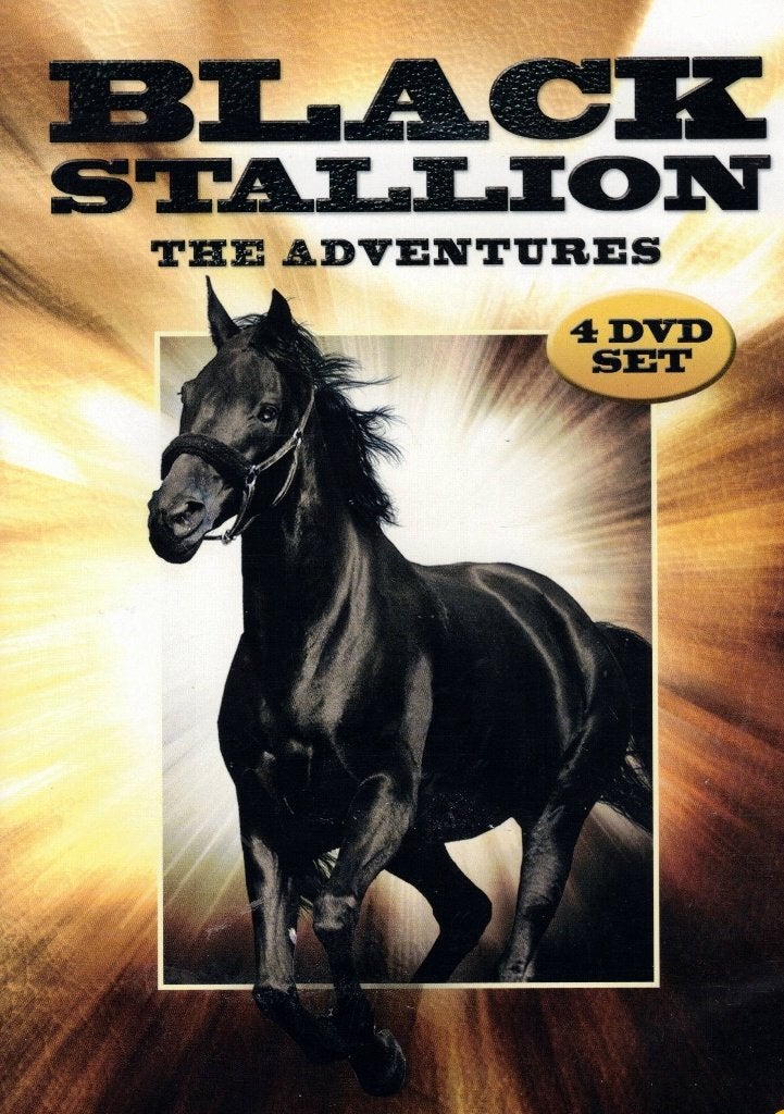 Black Stallion - The Adventures ( 4 DVD ), Engels, Nederlands, Ophalen of Verzenden, Zo goed als nieuw