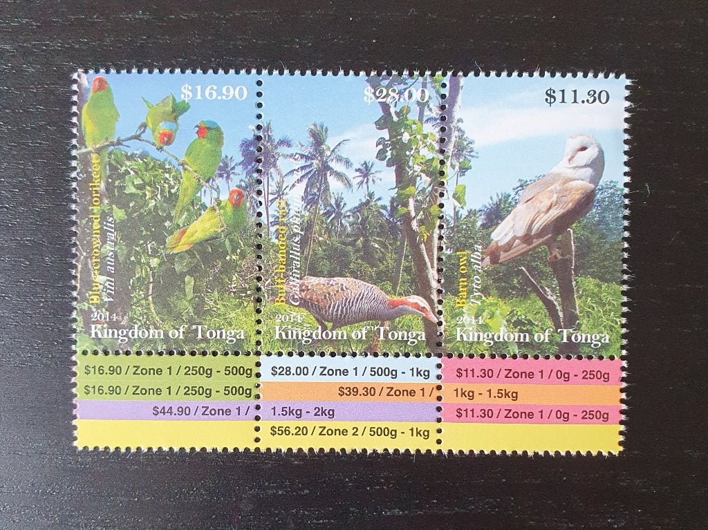 Tonga 2014 Vogels Uil Papagaai Michel 2006-2008 postfris, Postzegels en Munten, Verzenden, Postfris, Dier of Natuur